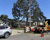 Site Cleanup, Huntington Beach, CA