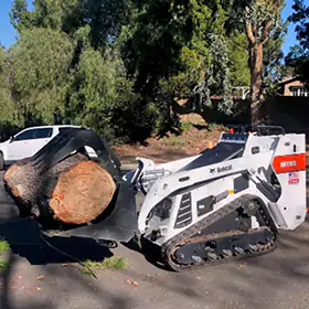 Bobcat Services, San Juan Capistrano, CA