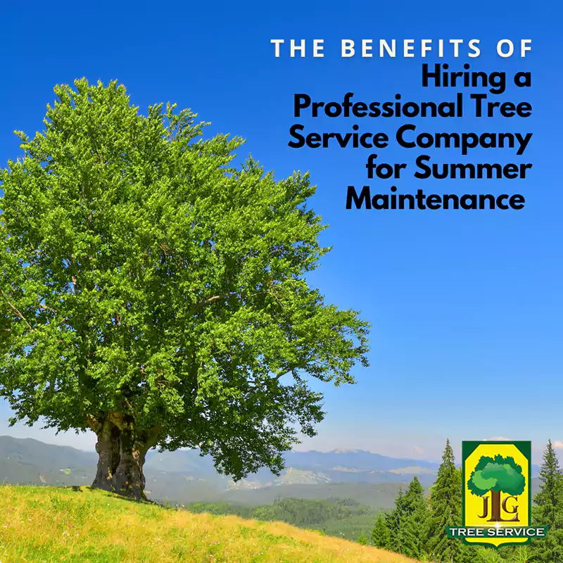 Tree Services Near Me