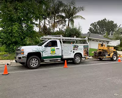 Tree Services Company, Costa Mesa, CA