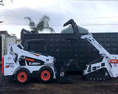 Tree Services in San Juan Capistrano, CA