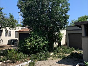 Brush Clearing, Huntington Beach, CA