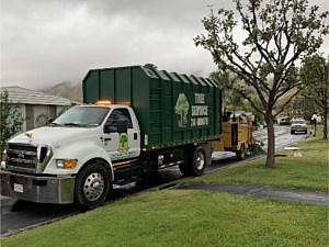 Weed Management, Trabuco Canyon, CA