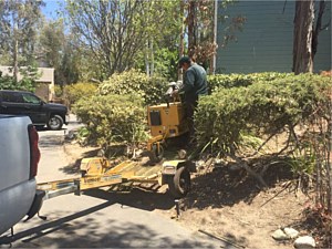 Weed Management, Lake Forest, CA
