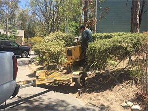 Site Cleanup, Huntington Beach, CA