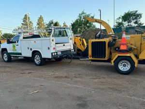 Tree Cutting Services, Laguna Niguel, CA