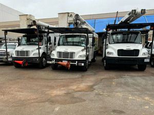 Tree Cutting Services, Anaheim, CA