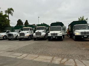 Tree Cutting Services, Anaheim Hills, CA