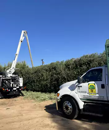 Tree Trimming Company, Fountain Valley, CA